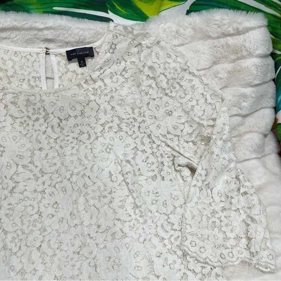 GUC The Limited Medium Ivory Lace Sheer Half Sleeve Office Sexy Classic Blouse - Picture 10 of 10